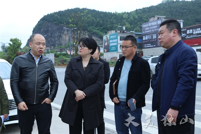 「文明在行动 满意在独山」李庆红率队调研城区环境整治工作