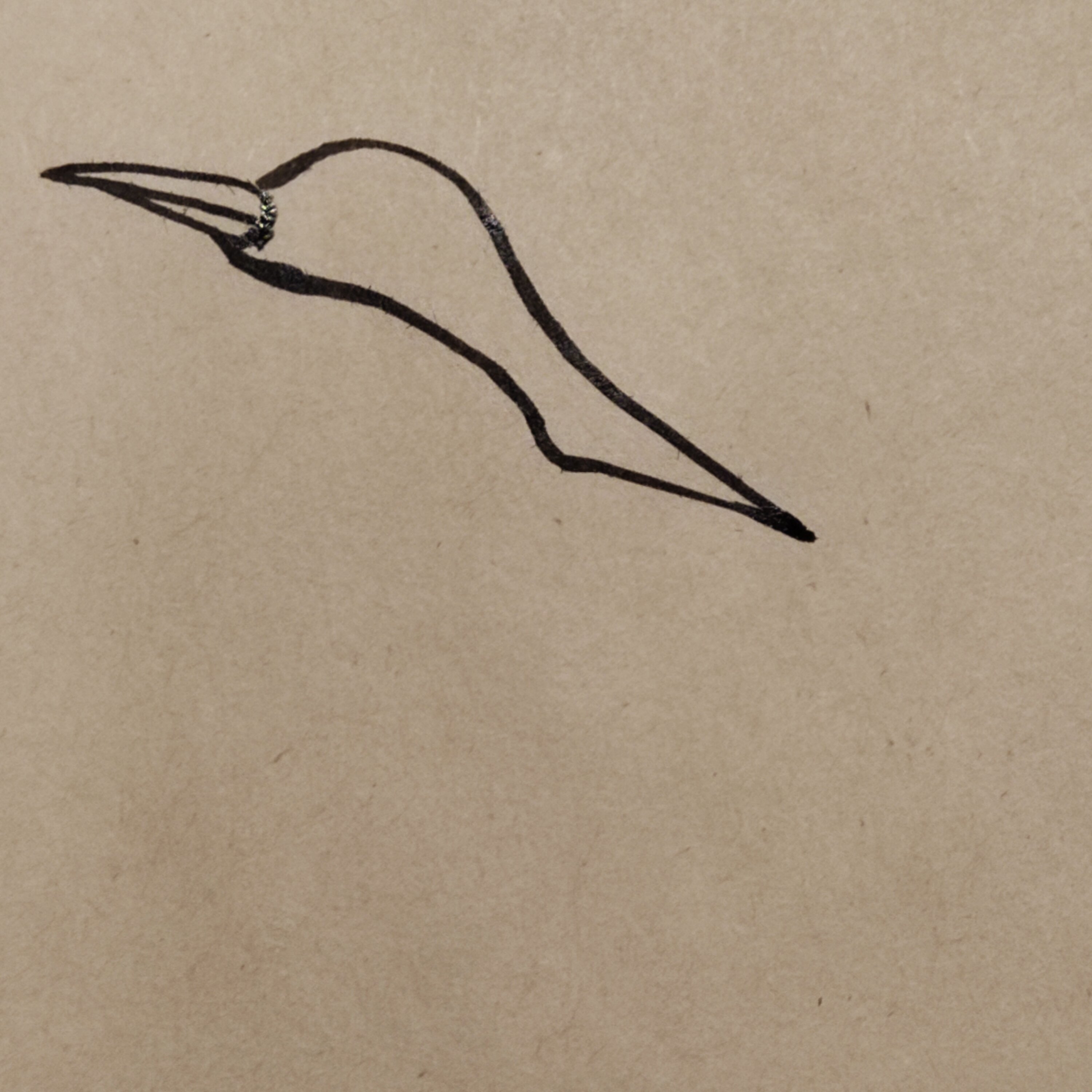 仙鹤些简单画法,步骤详细,小白轻松学会