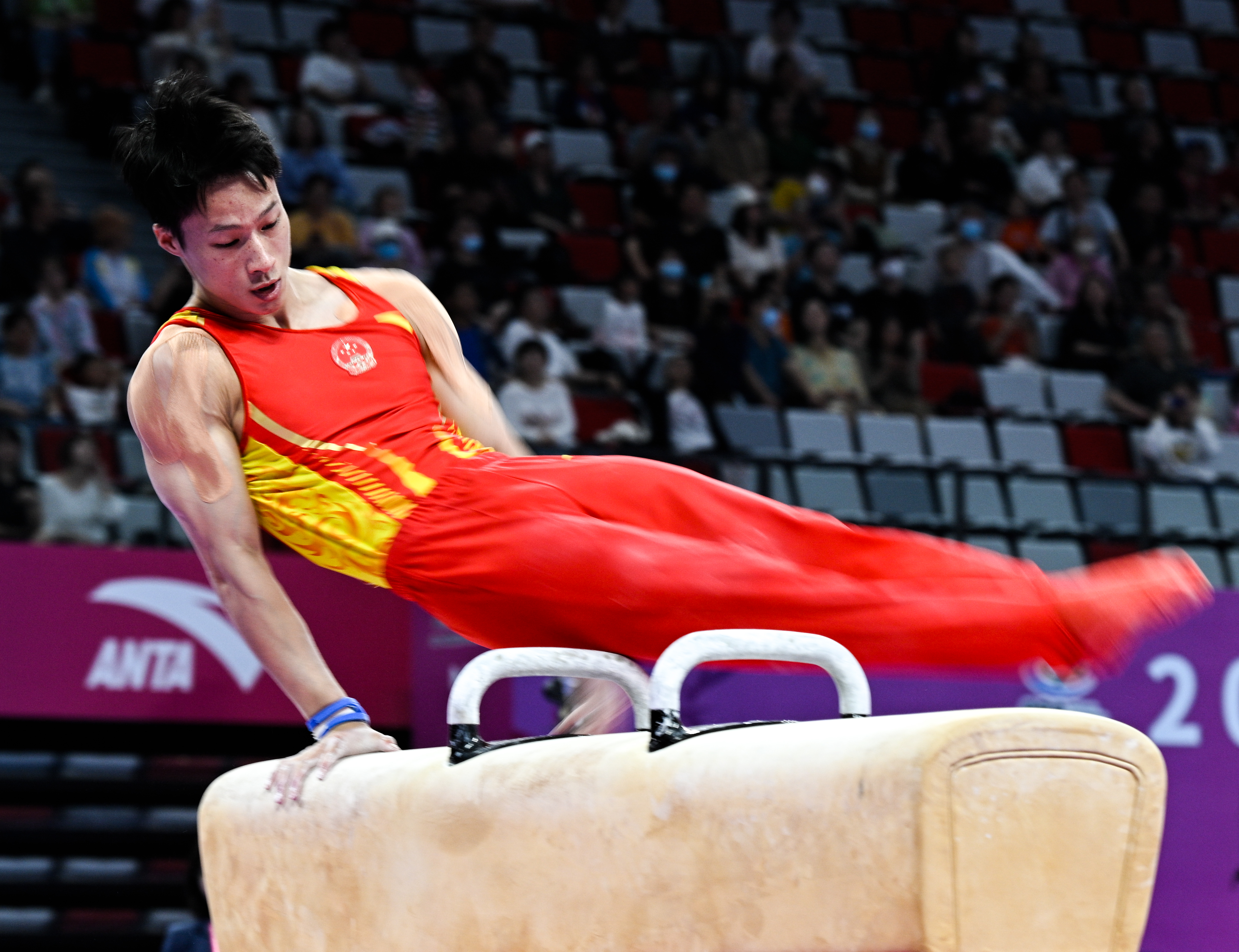 体操——全国冠军赛:鞍马决赛赛况