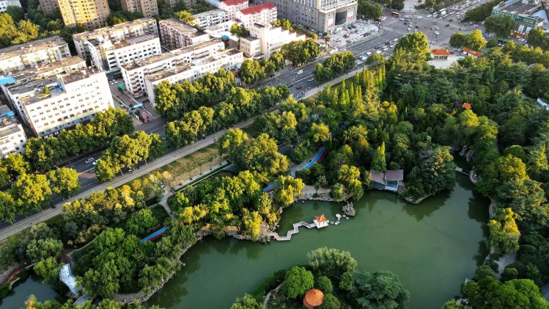 实拍西苑公园提升改造一大波美图