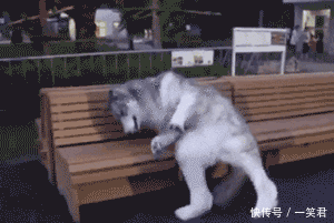 搞笑gif:我说我不去,你非让我去,我英俊的脸啊