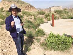 李永玺:在绿色中追求生命的高度
