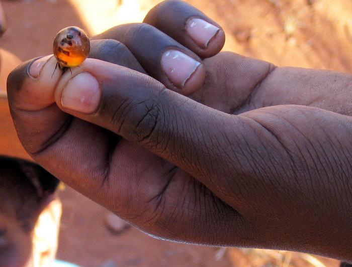 糖果- 热门商品专区