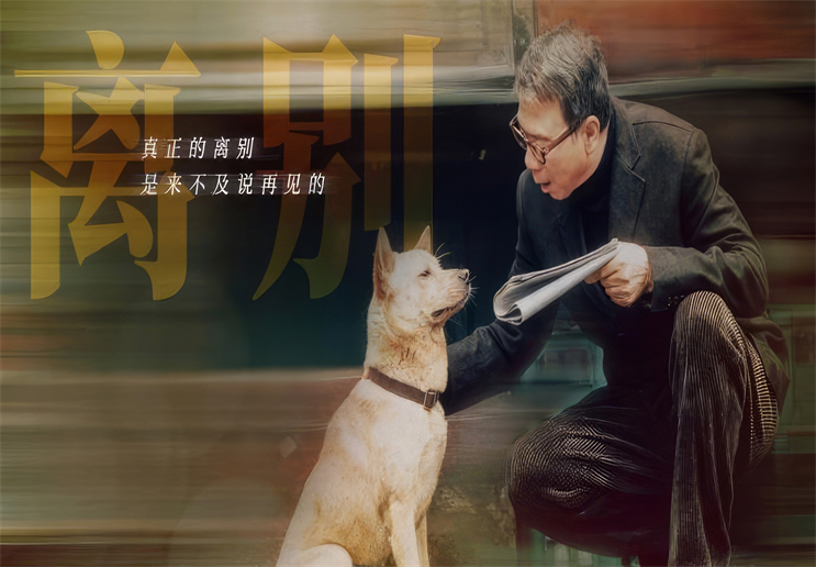 忠诚,是八筒的守候,《忠犬八公》从未离去