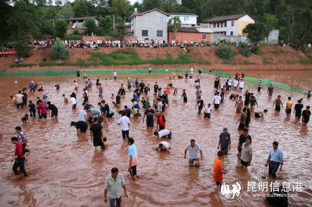 多彩民俗活动引客来 楚雄州禄丰市广通镇举办"六月六"彝族情人节活动