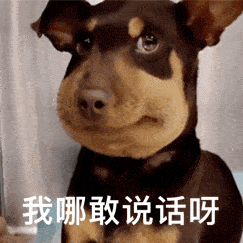 青岛今天的雪,饱含了太多意犹未尽!