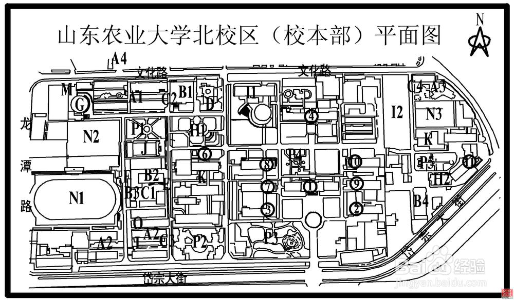 山东农业大学校园地图