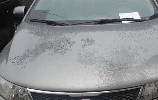 五一自驾淄博赶烤,隐形车衣主打贴车保护!让您进考场后顾无忧!