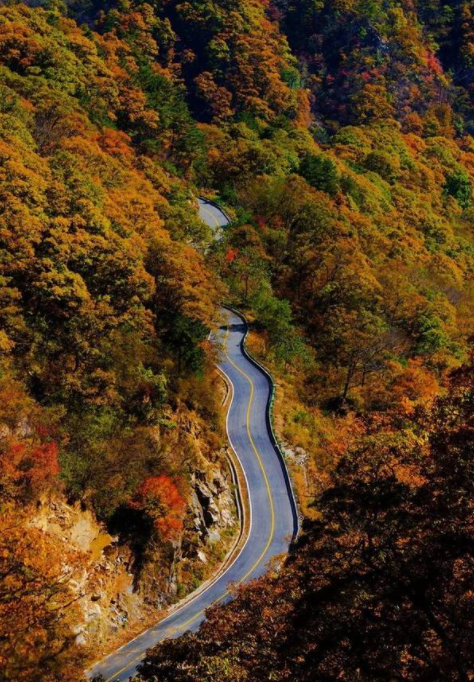 马丁公路起点和终点图片