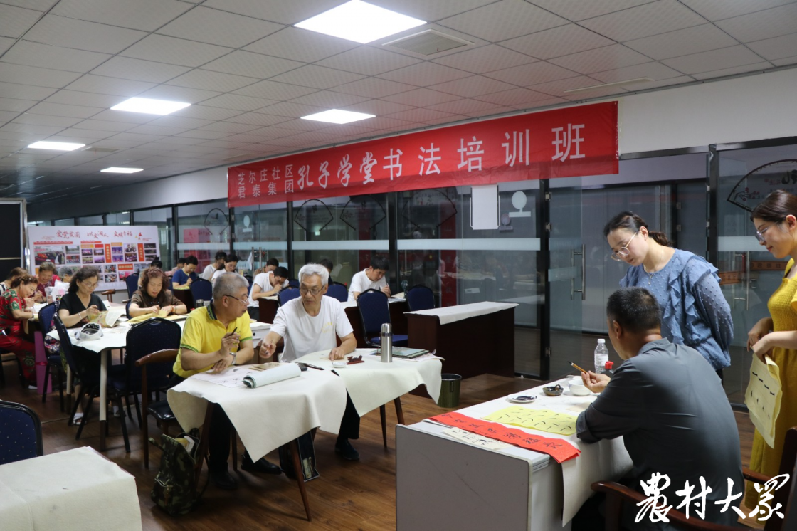 齐鲁最美退役军人王俊仁的共富经:"先治坡,后置窝" 发展