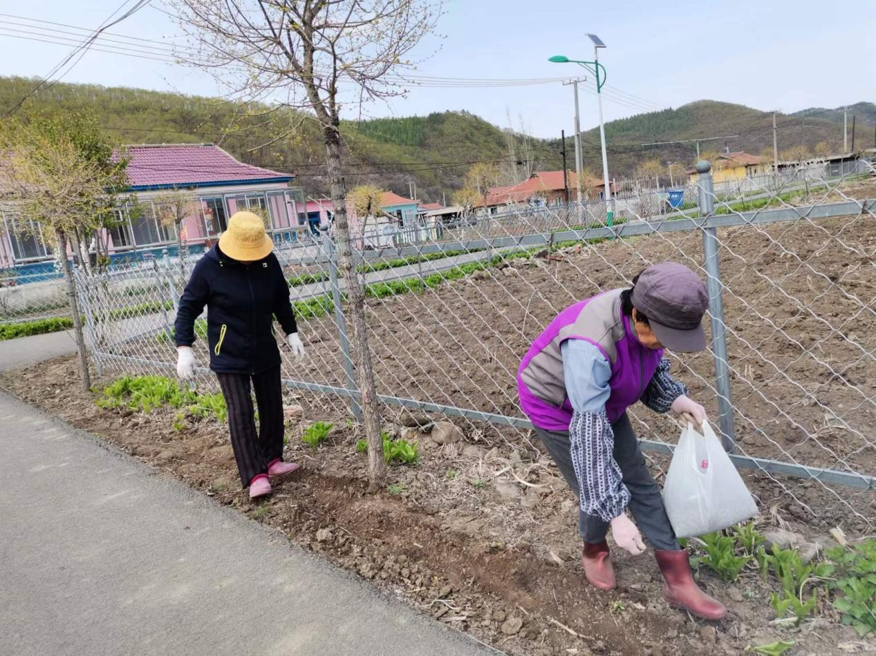 「美丽乡村建设」汪清县大兴沟镇多措并举开展人居环境整治行动