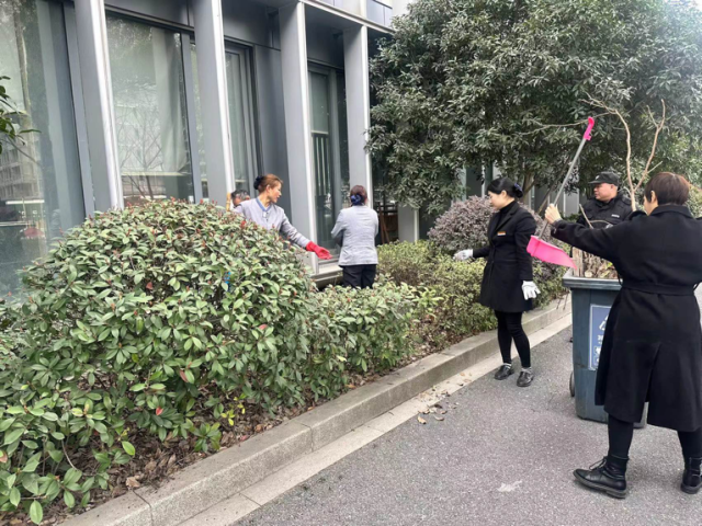 彭埠街道开展"环境卫生齐整治 喜迎亚运创文明"志愿服务活动