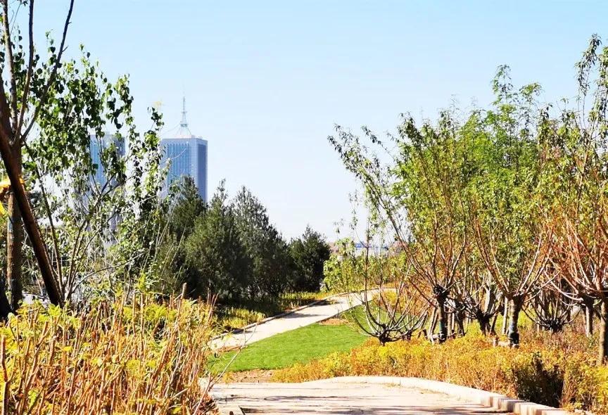 长治长北干线绿化乔木种植已完成21000株,还配有景观座椅和廊架