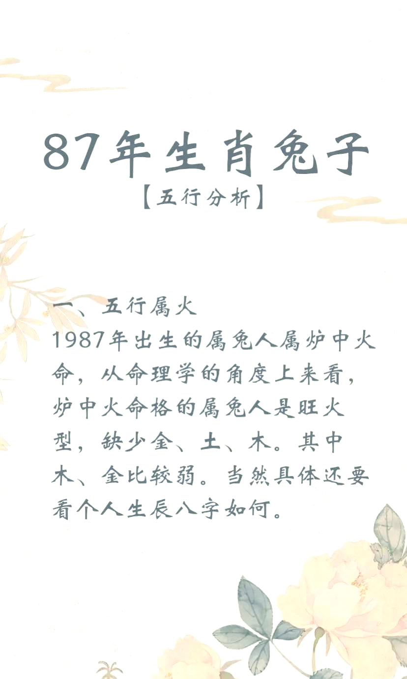 生肖兔的一生运势预测(生肖兔的一生运势预测图)