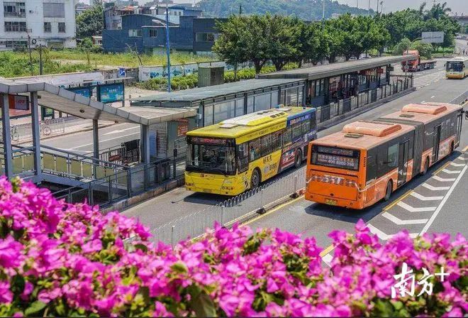 图源:南方 据广州公交集团介绍,广州快速公交(以下简称"广州brt")自
