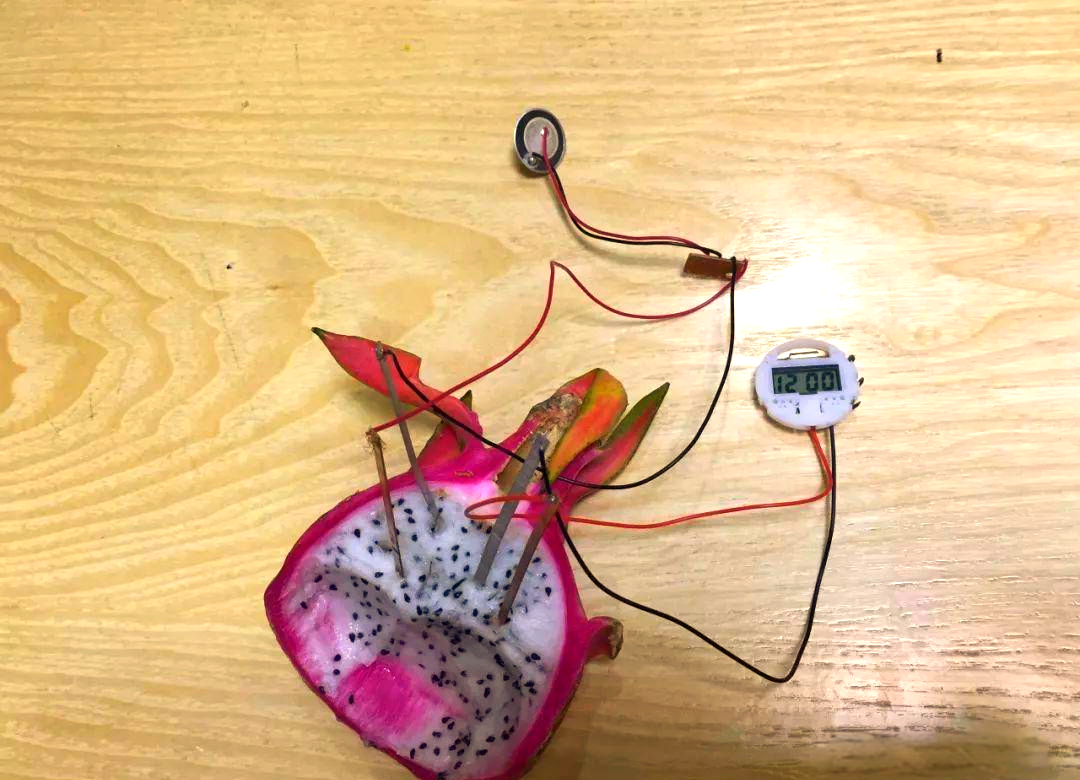 暑假科学探索:水果电池制作指南