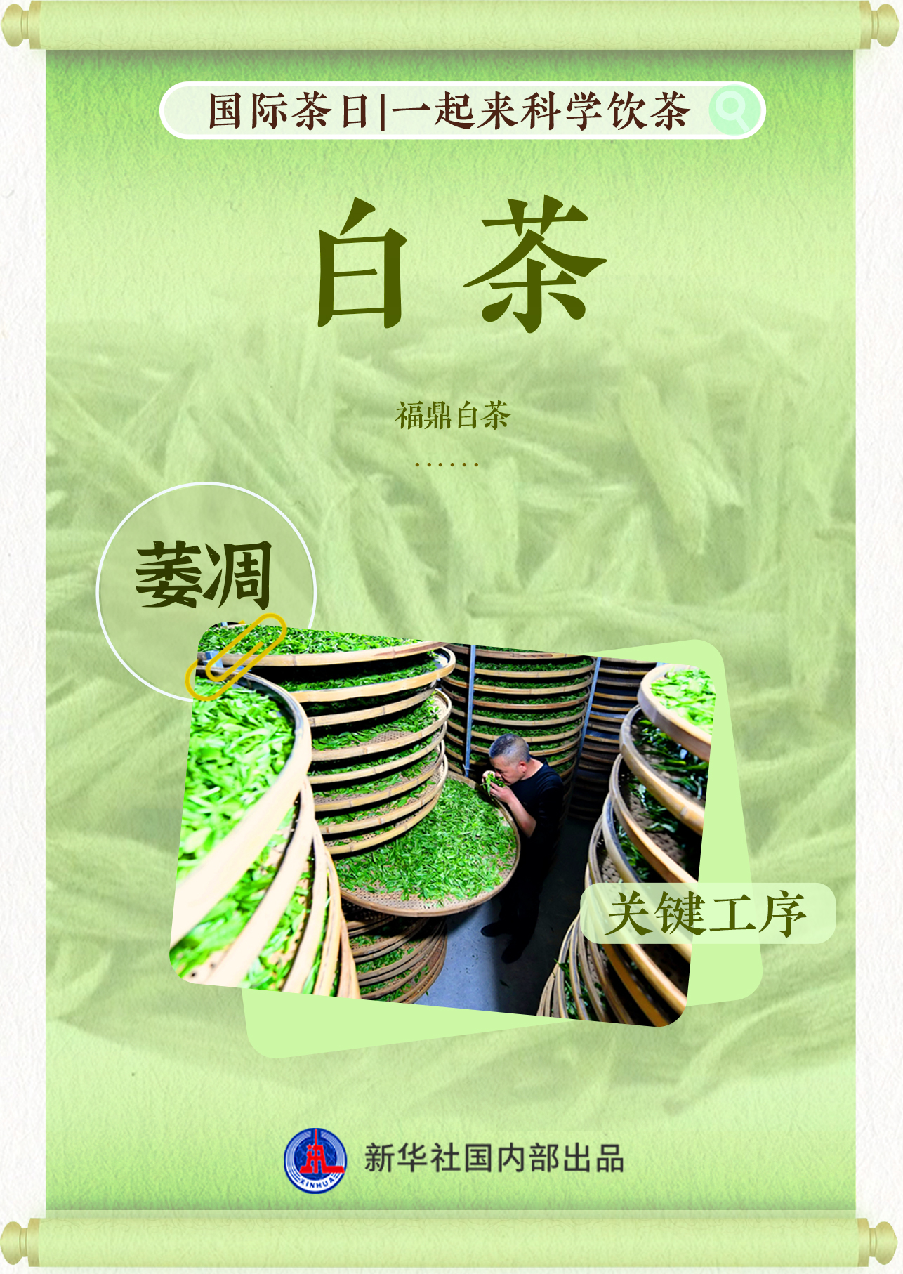 国际茶日|红绿黄白青黑花,一起来科学饮茶