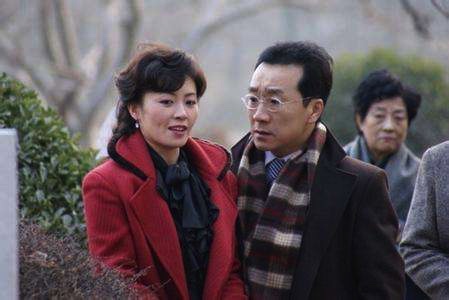 怀家国情仇 举民族大义——电视剧《愤怒的天使》影评