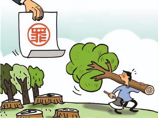 龙阳镇人民政府关于禁止乱砍滥伐林木的通告