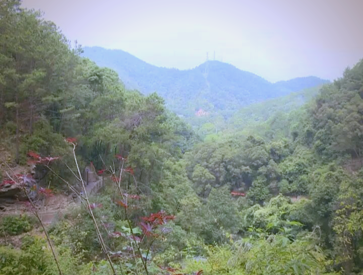 商道建设和生态保护:梅州清凉山的新亮点