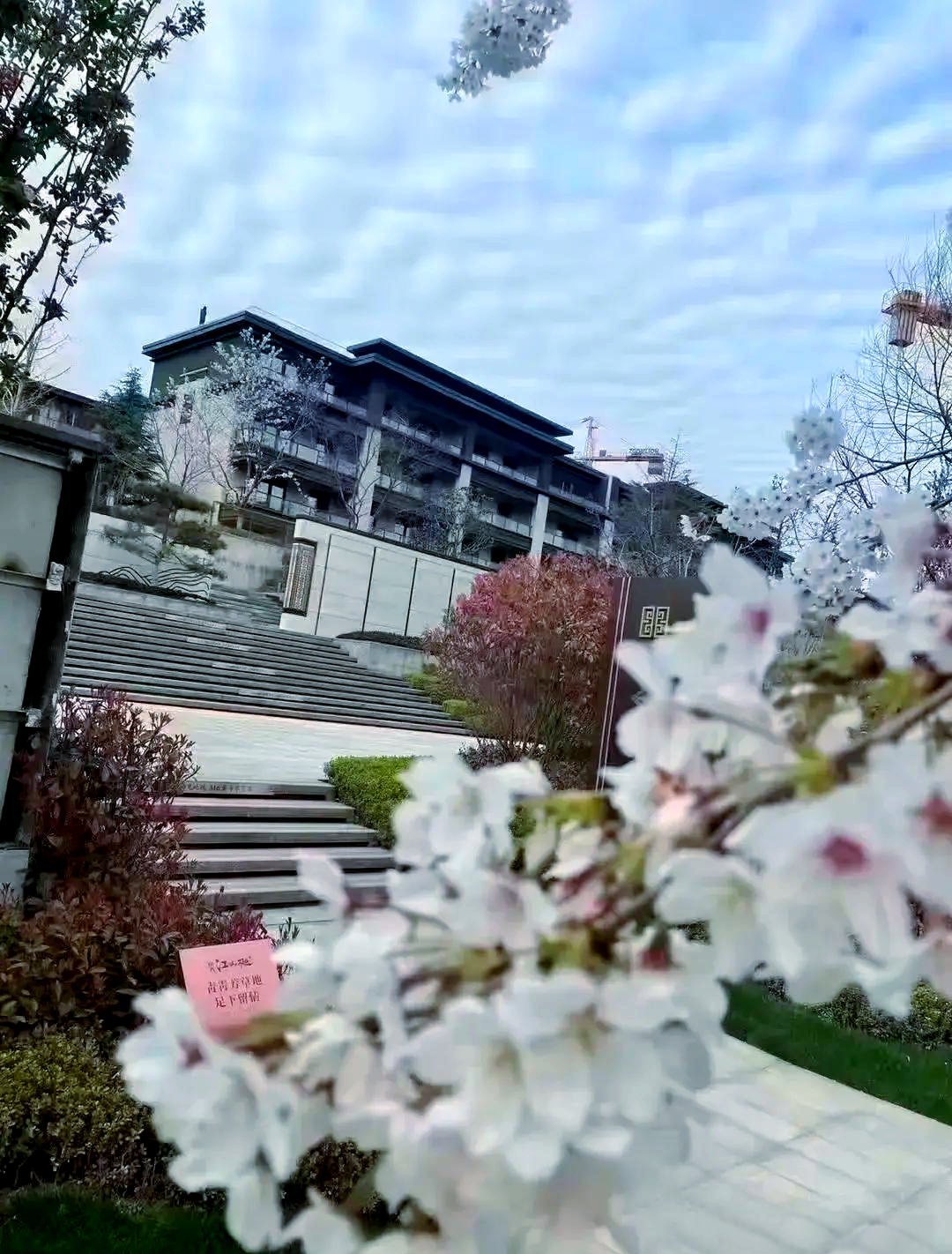 青岛康大江山樾为何难售,原因出在哪里