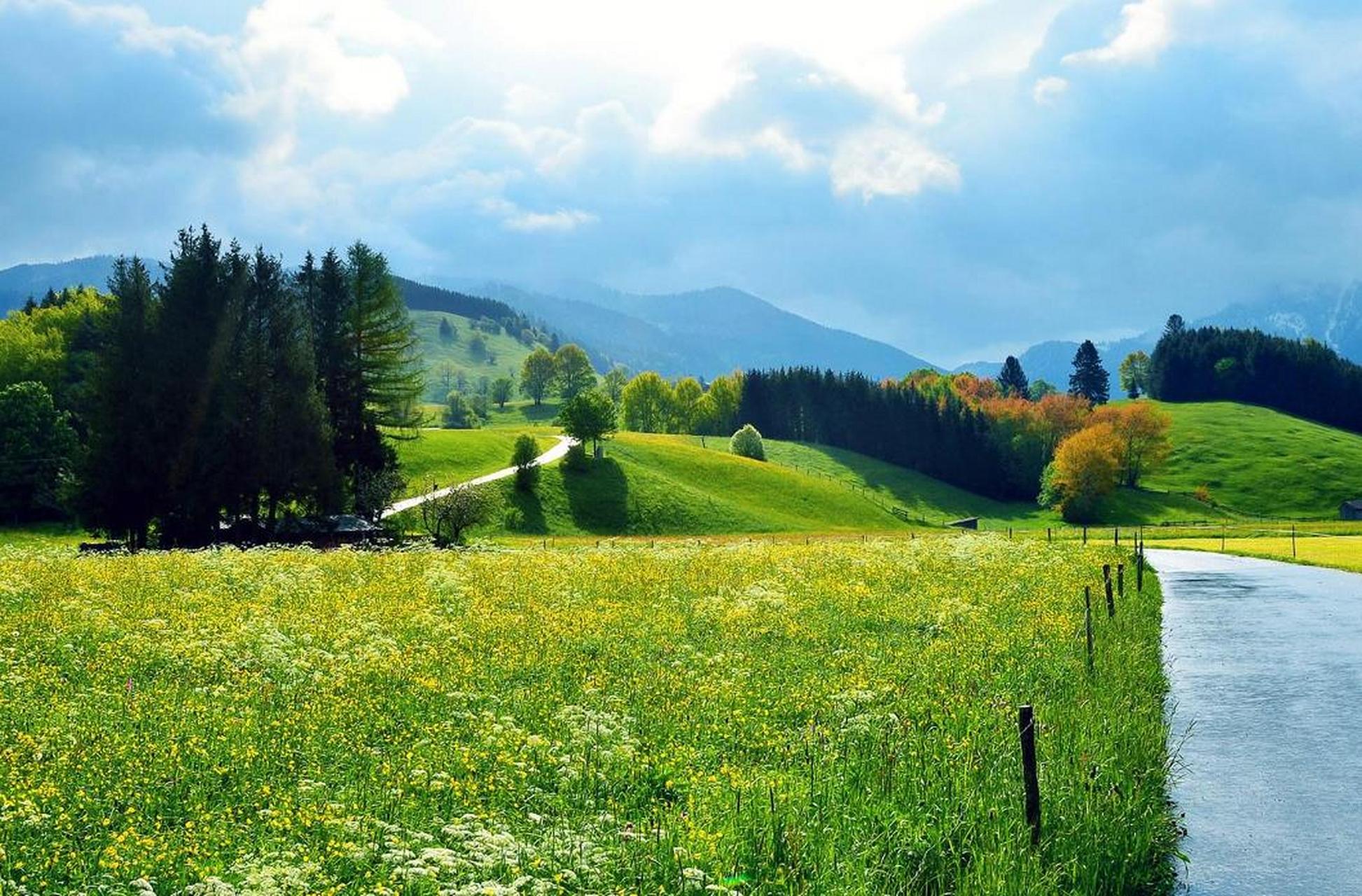 生肖鼠 属鼠的人明日开始可谓是福星高照.