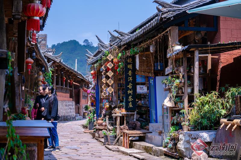 宁洱那柯里:茶马古道上的春日时光