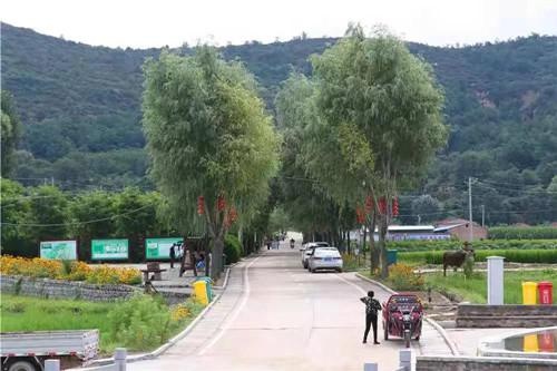 组织建设|富县直罗镇胡家坡村:支部引领 让村民日子越过越红火