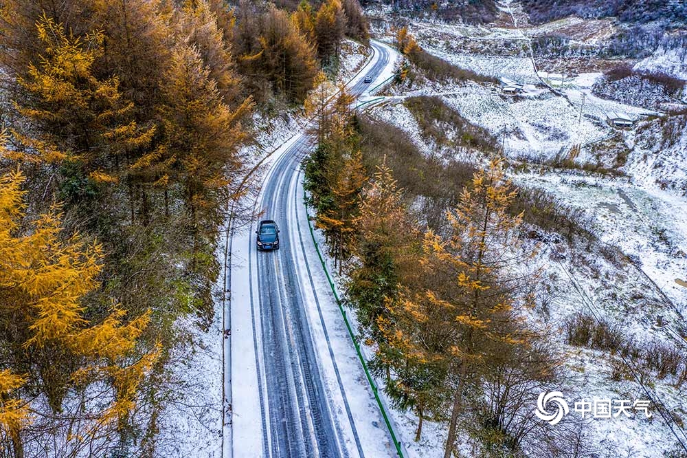 重庆巫溪红池坝高海拔地区迎今冬初雪 雪景美如画