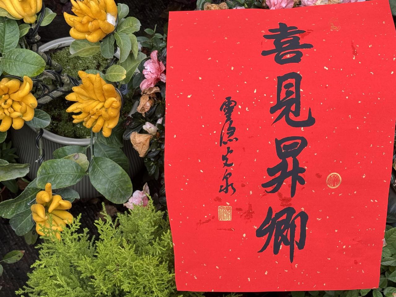 灵隐寺祈福年历"喜见升卿"怎么印出来?潮新闻记者现场体验