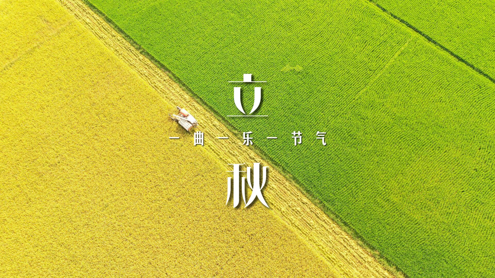 一曲一乐一节气·立秋|伴随《赛马》的激情旋律 一起感受丰收的喜悦