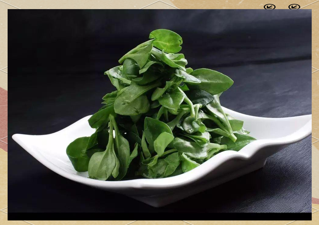 田七苗的多样功效与食用方法