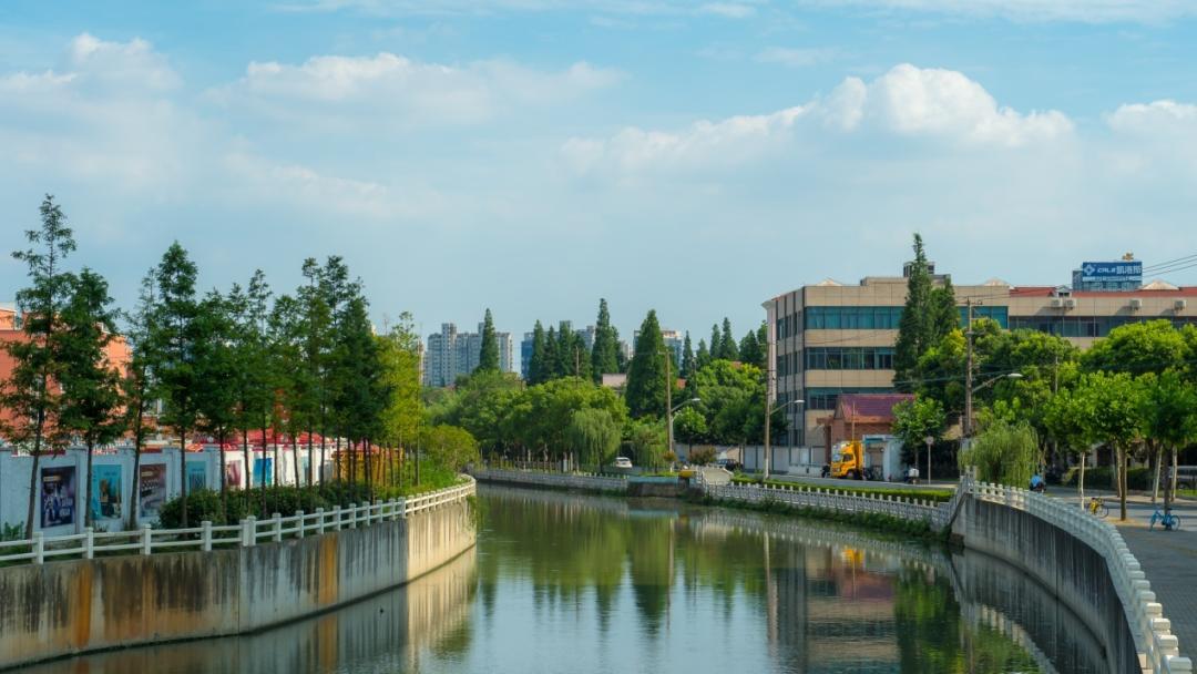 普陀:"蝶变"绽新颜!来看桃浦河的治理之路
