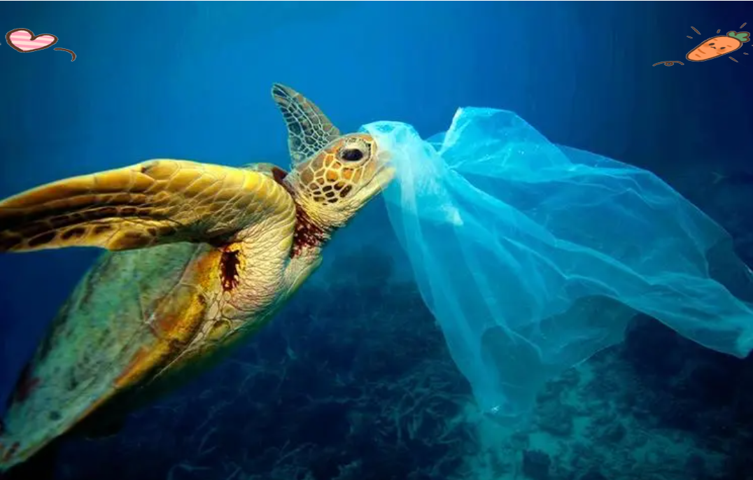 塑料袋的世纪影响:从拯救树木到污染海洋的蝴蝶效应