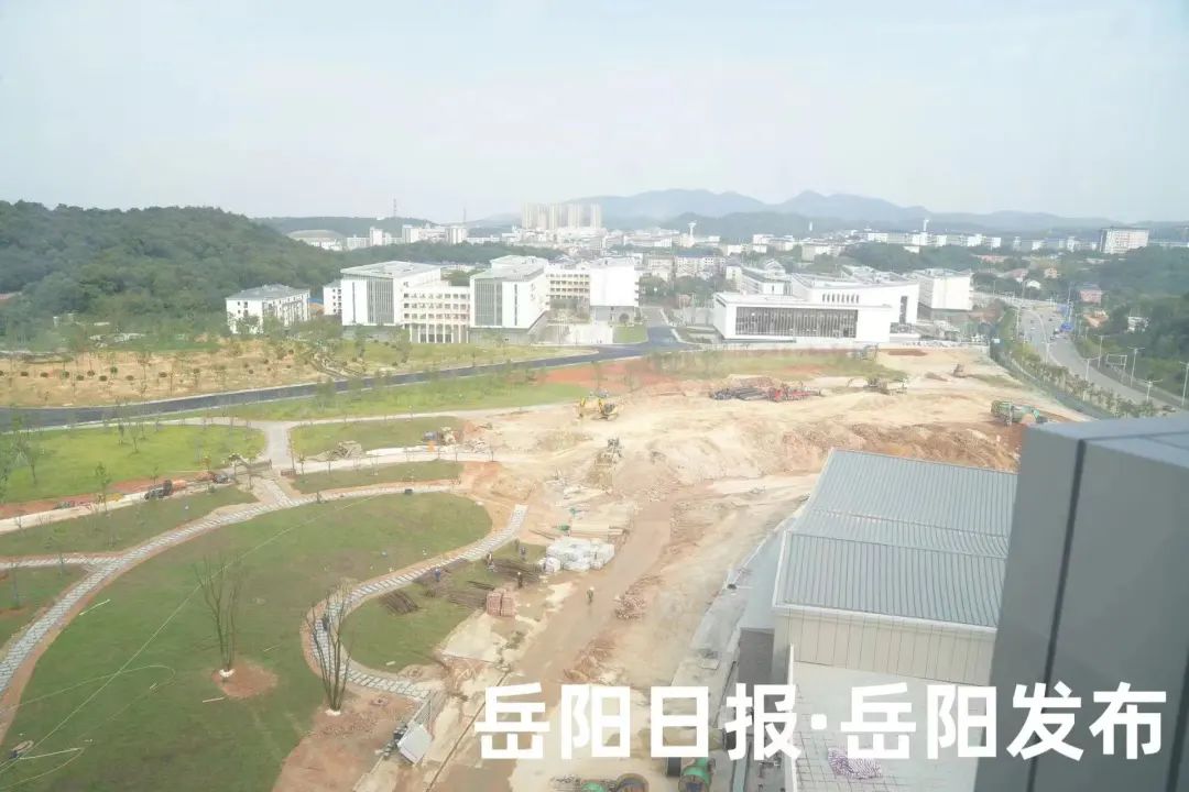 岳阳学院新成立图片