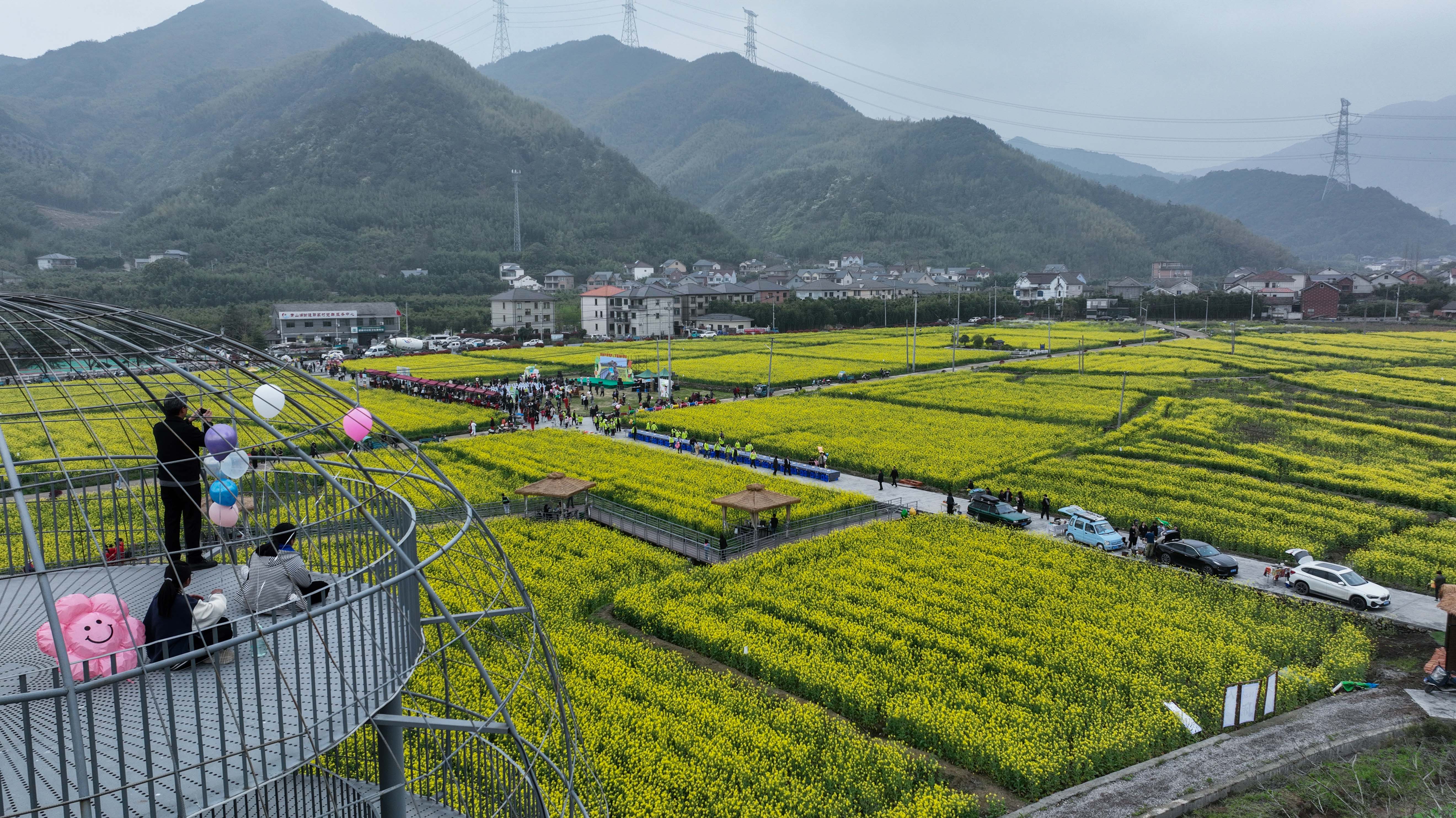 农村新型项目(新农村项目建设)