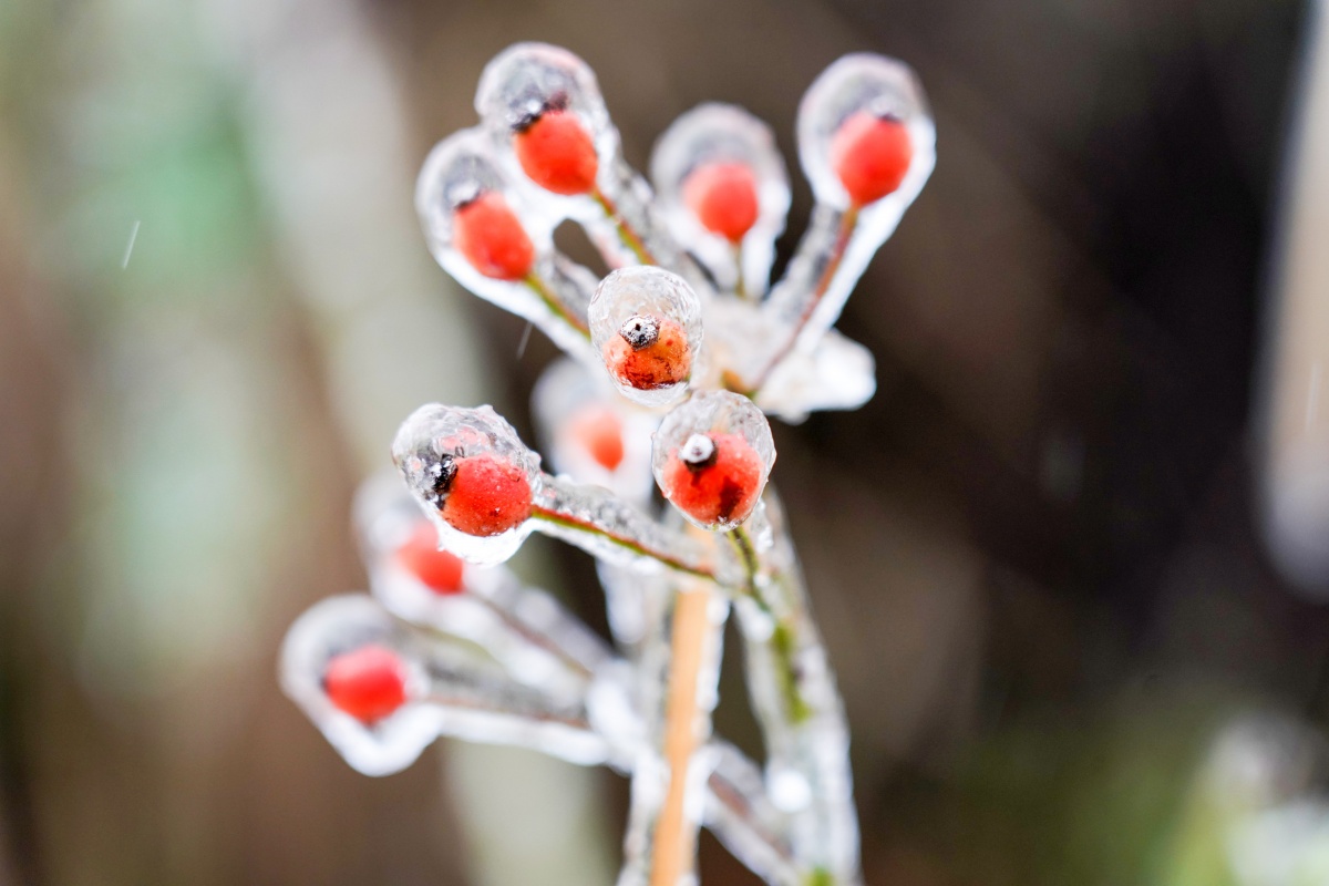 大美中国·壮美广西1202丨广西多地出现冰凌,雾凇
