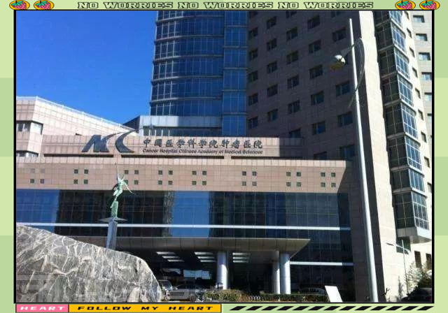 中國醫(yī)學科學院腫瘤醫(yī)院、東城區(qū)代掛號，服務在我心滿意由您定的簡單介紹