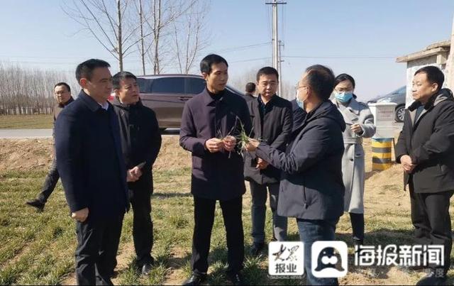 聊城高唐县县长杨曙光调研春季农业生产及人居环境整治工作