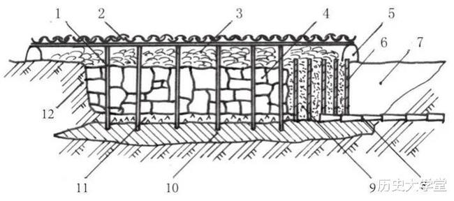 尼雅遗址农业考古研究报告