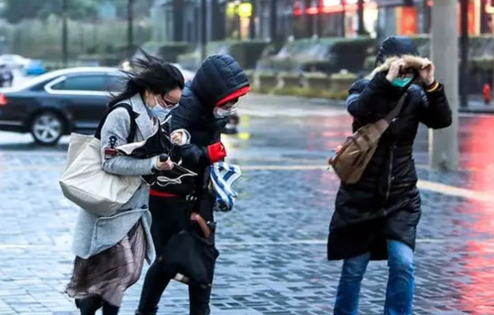 雨雪,低温,大风叠加来袭,哈市交警提示↘