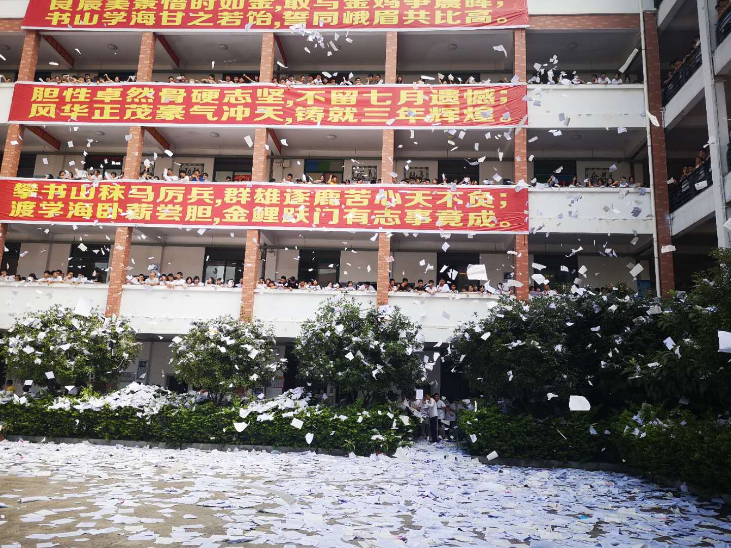 高三学生撕书喊楼,是最后的狂欢还是淤积三年的"报复"?