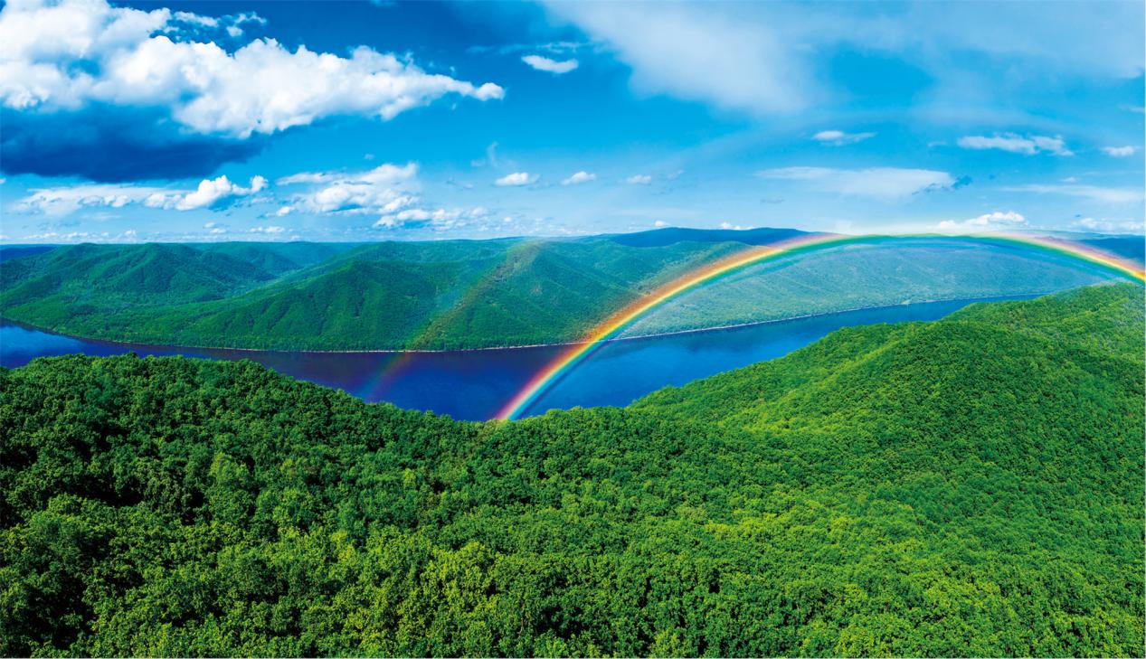 夏日有清凉|哪儿凉快上哪儿呆着去——避暑就到黑龙江