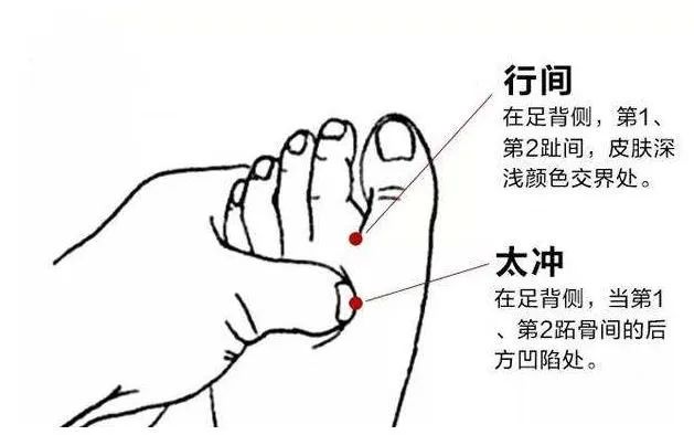 「每日一穴」太冲穴 平肝泻热