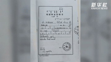 新华视点|呼伦贝尔杀人犯"纸面服刑"15年摇身变村干部事件调查