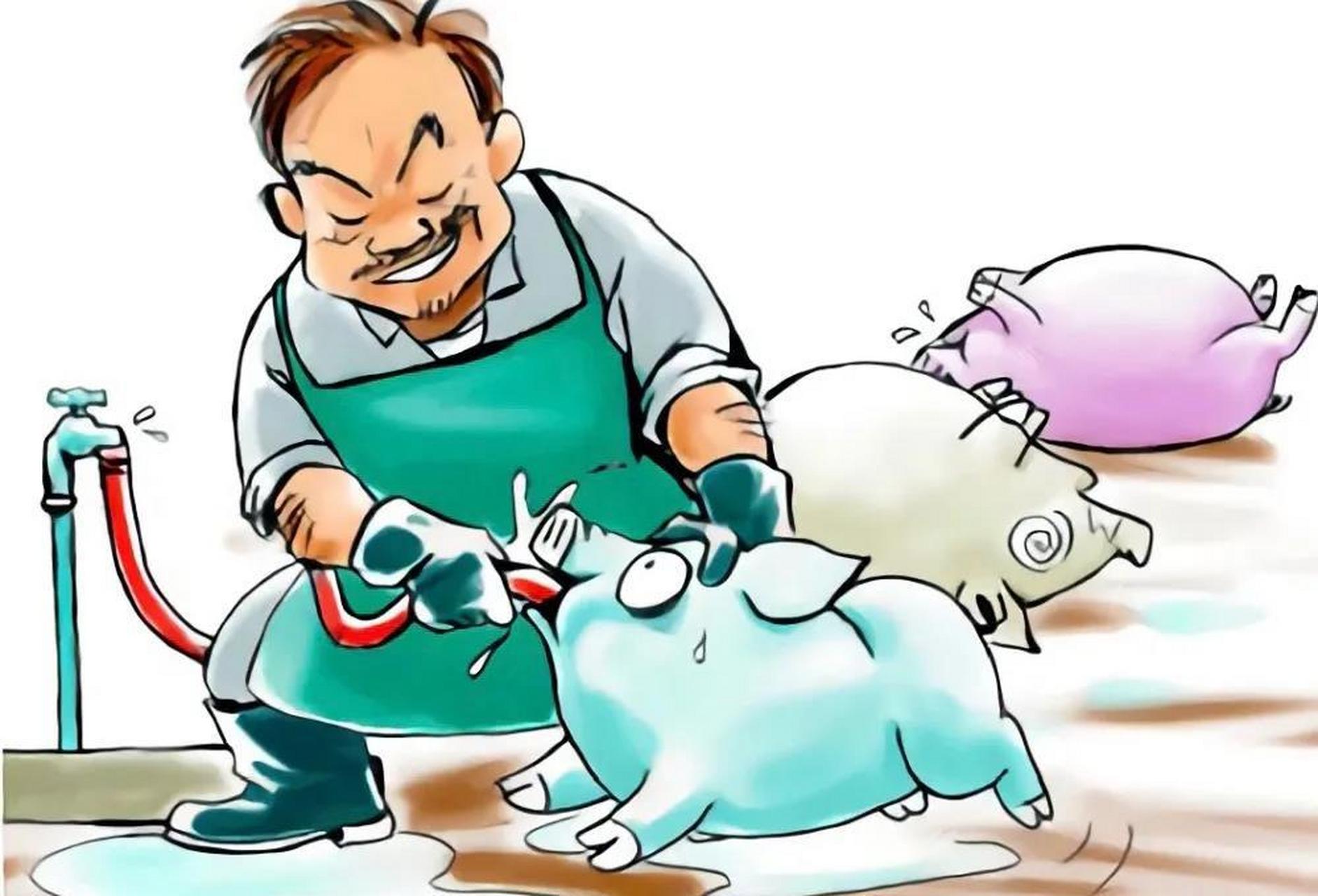 一个卖猪肉的朋友告诉我,现在的猪肉和鸡肉不能吃,普通老百姓吃的猪肉