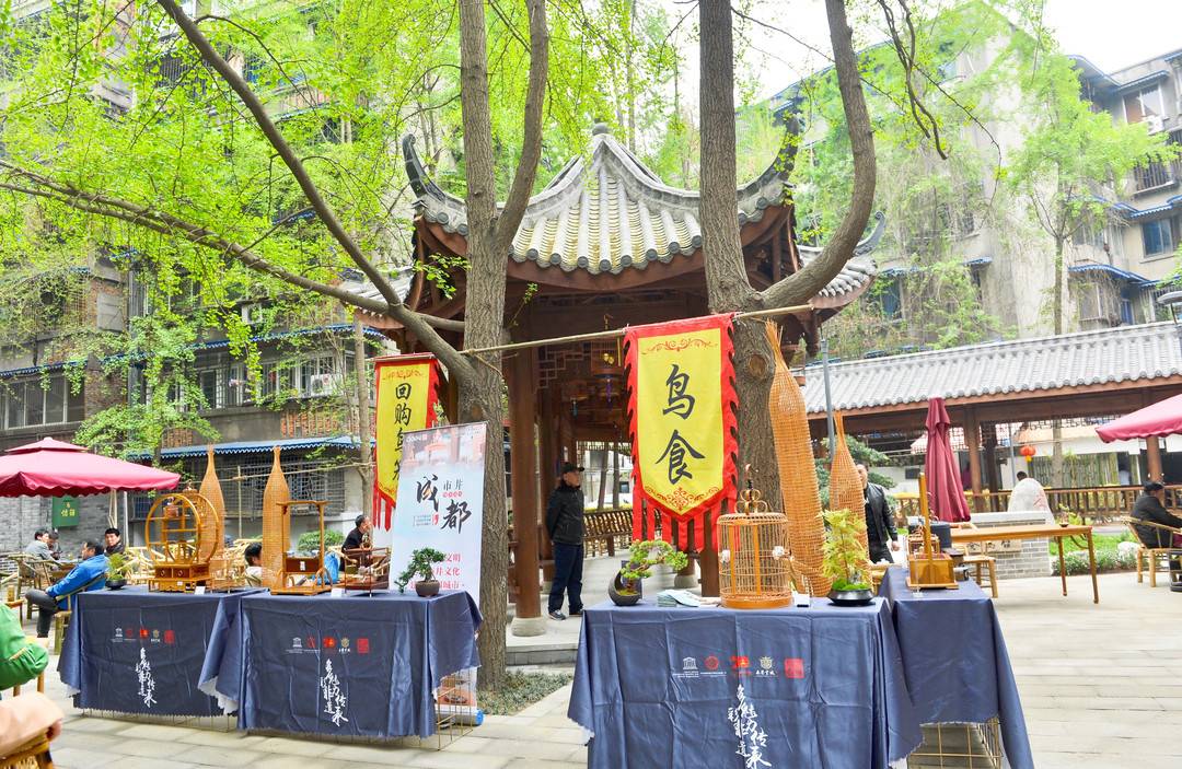 我的城"上新"了|专访成都金牛区抚琴街道党工委书记王堃:"烟火抚琴"的