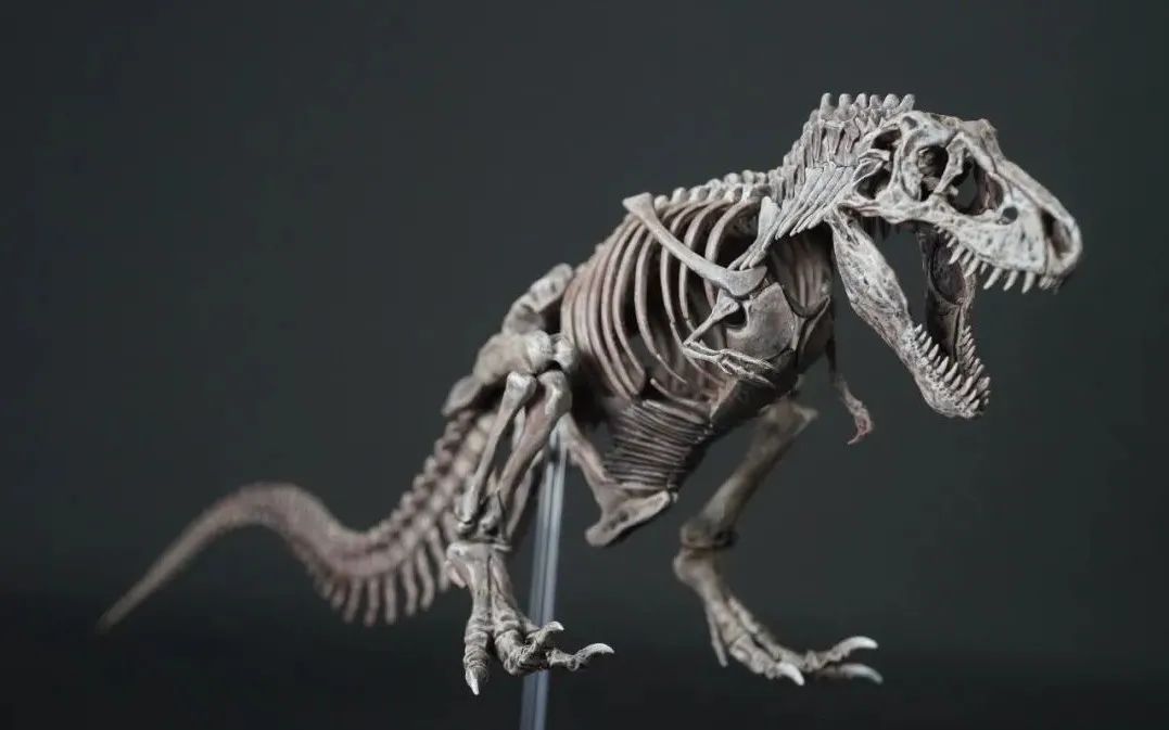 画龙画骨~万代塑料拼装恐龙骨骼化石模型
