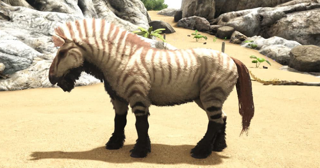 equus saddle是什么鞍