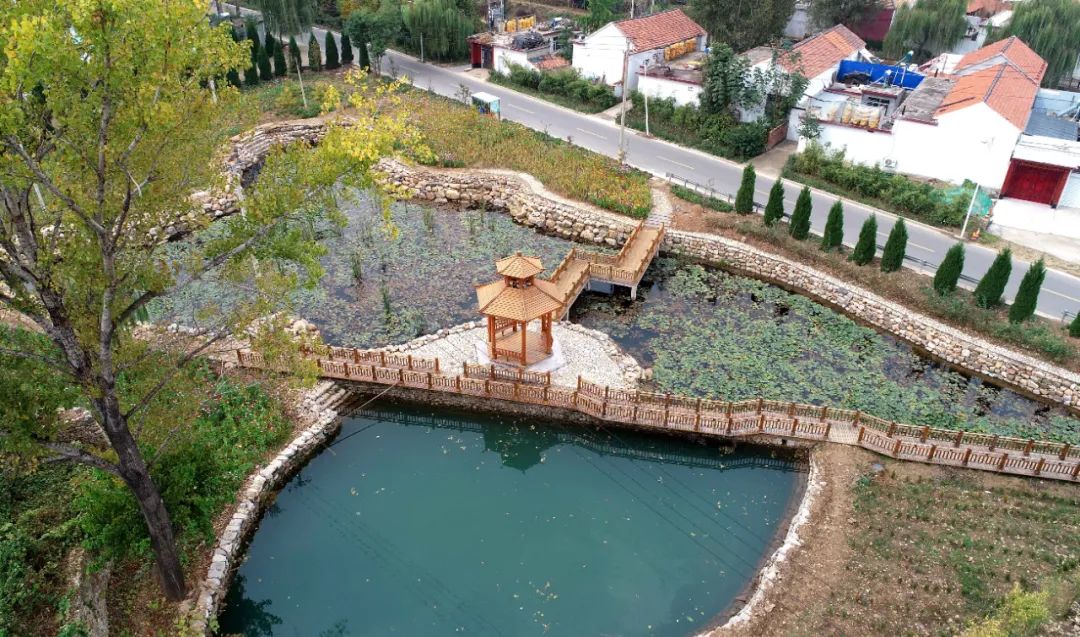 "我家街巷最美"系列展示|淄博市沂源县南鲁山镇北流水村